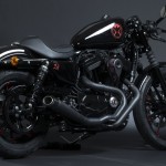 h-d_black-widow