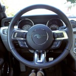 Ford Mustang (2)