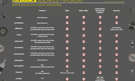 INFOGRAFIKA_dovolená_A6_alc. a rychlost