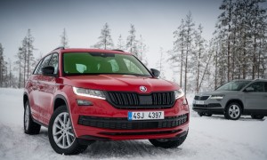 kodiaq_snow.JPG