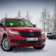 kodiaq_snow.JPG