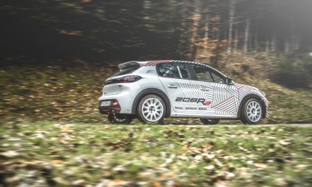 Peugeot 208R2 pro 2020.2