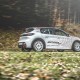 Peugeot 208R2 pro 2020.2