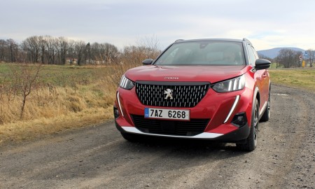 Peugeot 2008 (1)