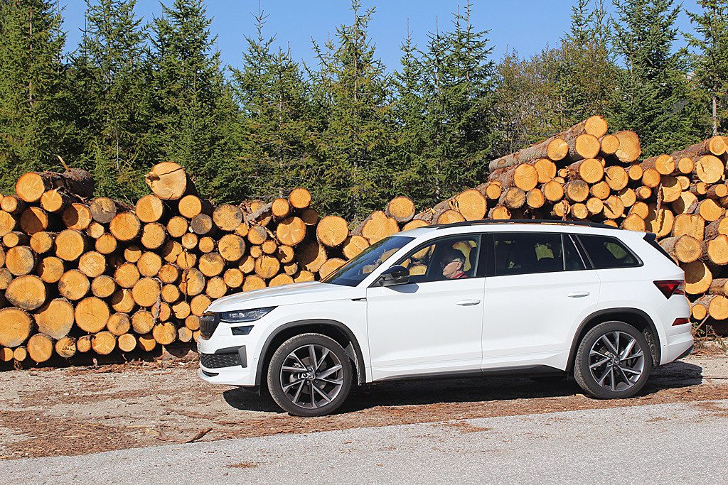 Škoda Kodiaq bily (2)