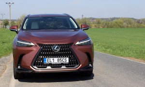 Lexus NX (2)