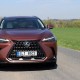 Lexus NX (2)